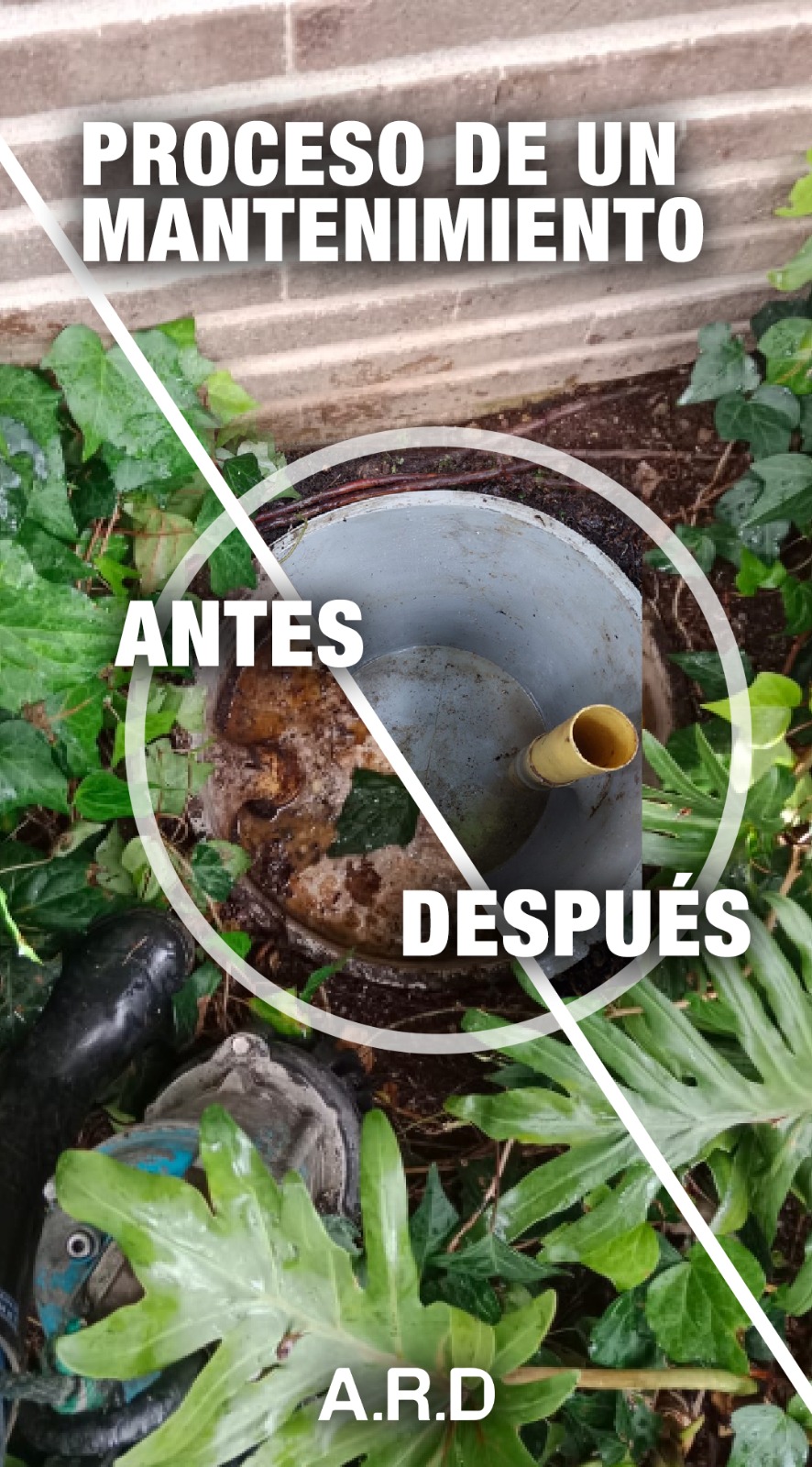 Antes y después del mantenimiento